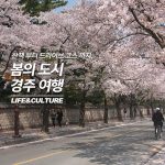 진짜메인