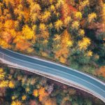 Aerial,View,Of,Mountain,Road,In,Beautiful,Forest,At,Sunset