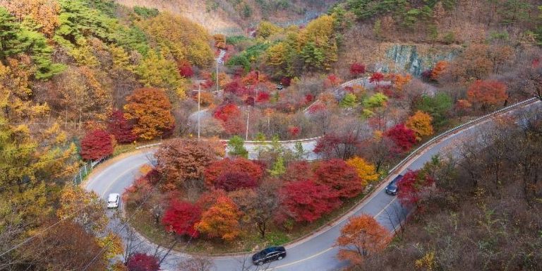 메인